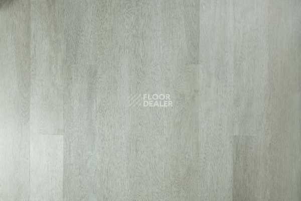 Кварцвиниловые полы Tarkett Funky House CRUZE фото 1 | FLOORDEALER